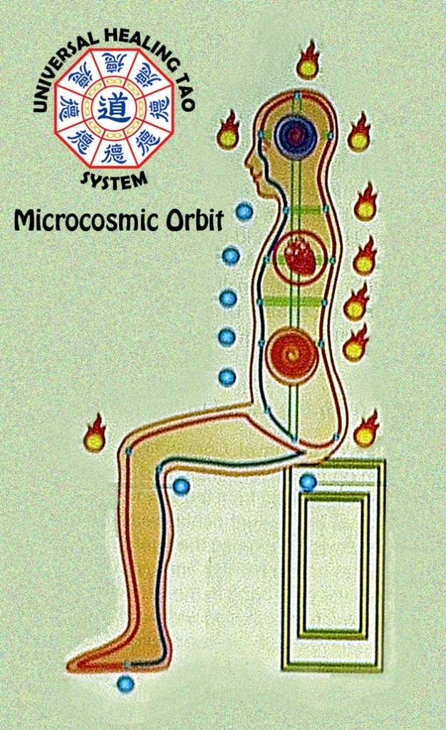 Microcosmic Orbit | Curatio